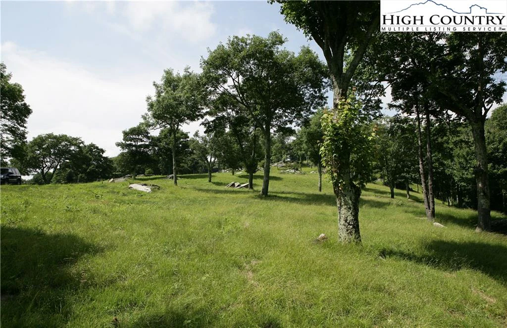 Image number 16 for the current listing