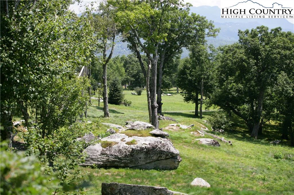 Image number 15 for the current listing