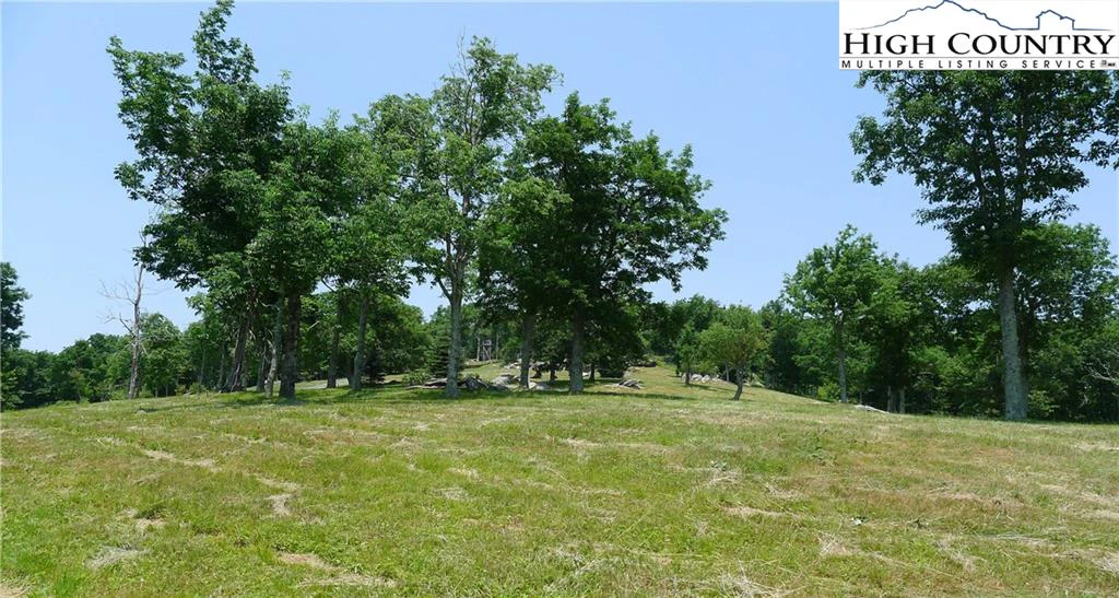 Image number 12 for the current listing