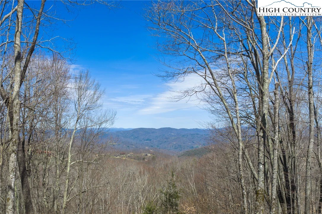 Image number 1 for the current listing