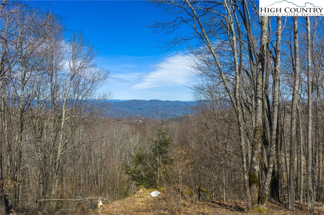 Image number 3 for the current listing