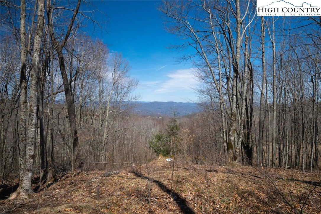 Image number 4 for the current listing