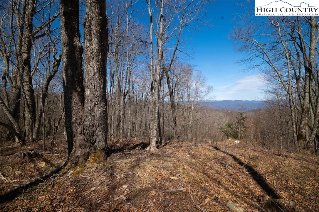 Image number 5 for the current listing