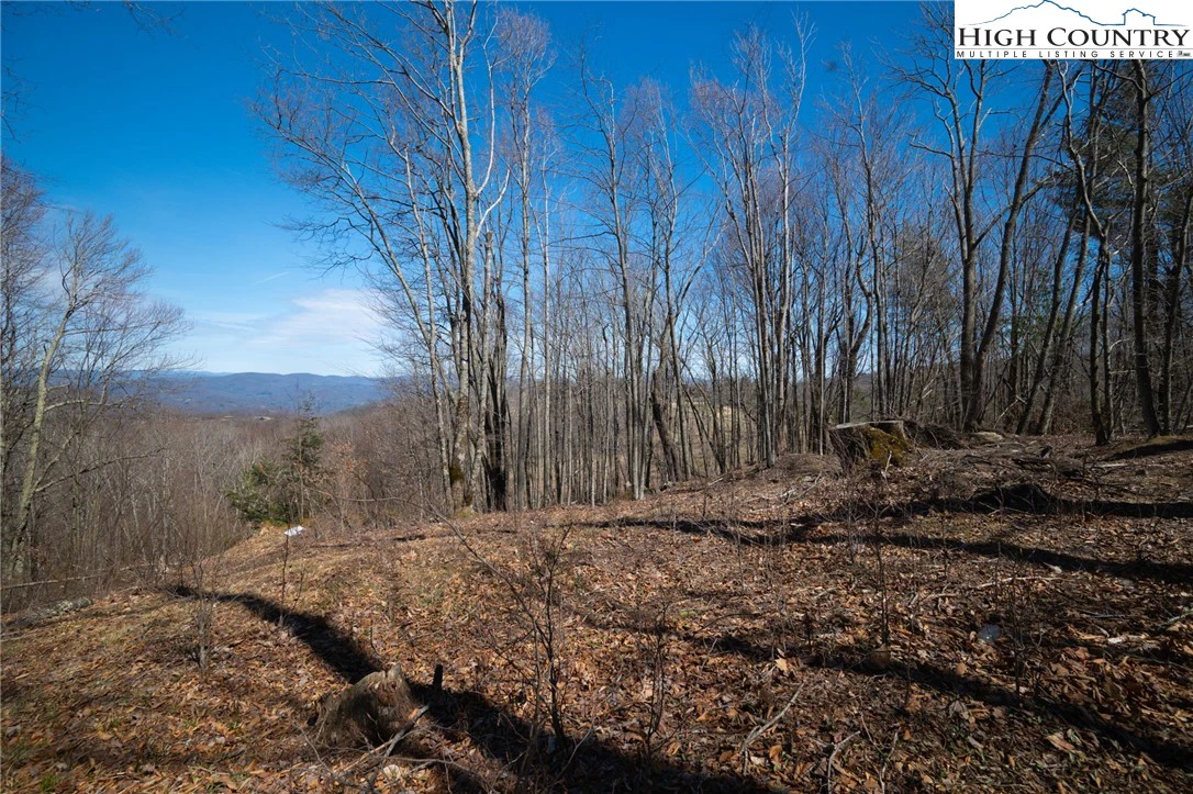 Image number 6 for the current listing