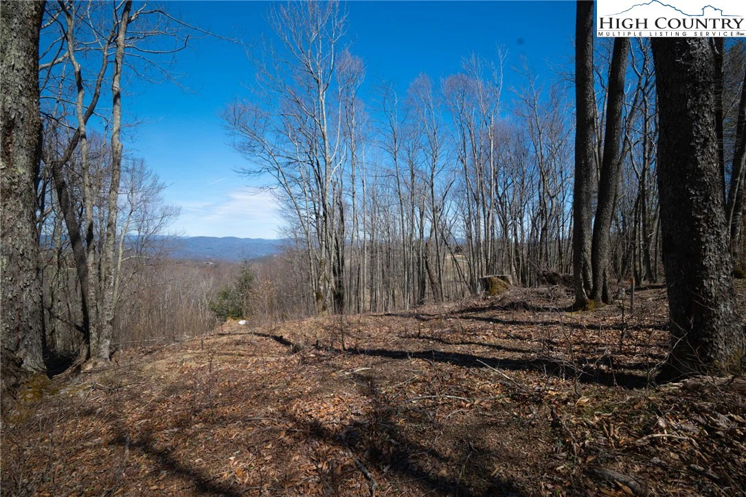Image number 7 for the current listing