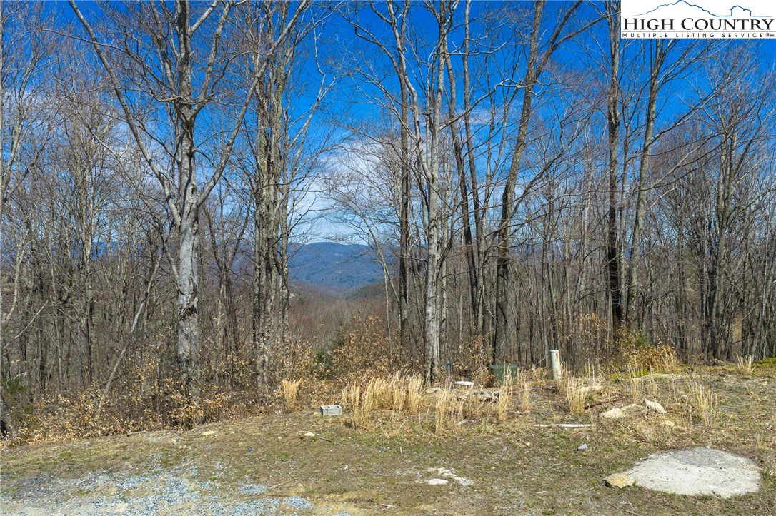 Image number 8 for the current listing