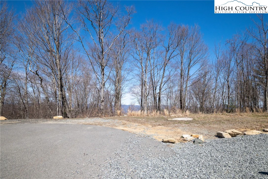 Image number 10 for the current listing