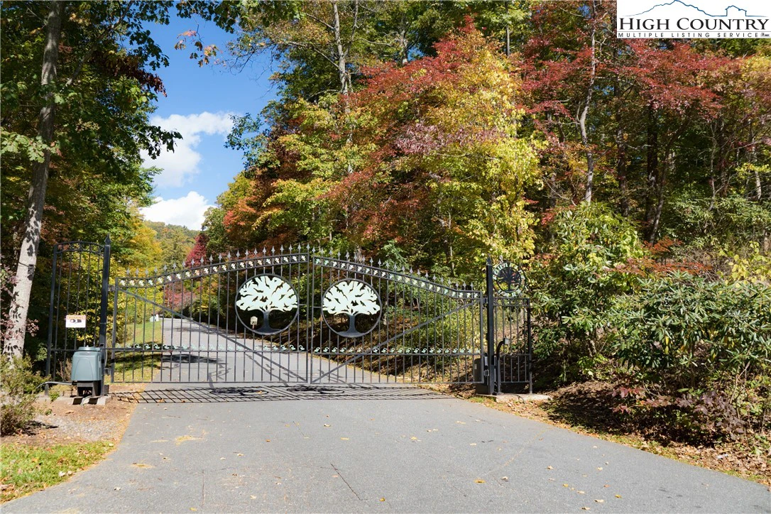 Image number 1 for the current listing