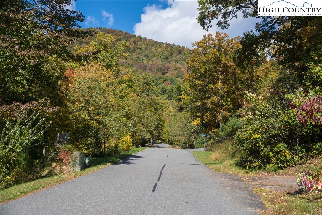 Image number 3 for the current listing
