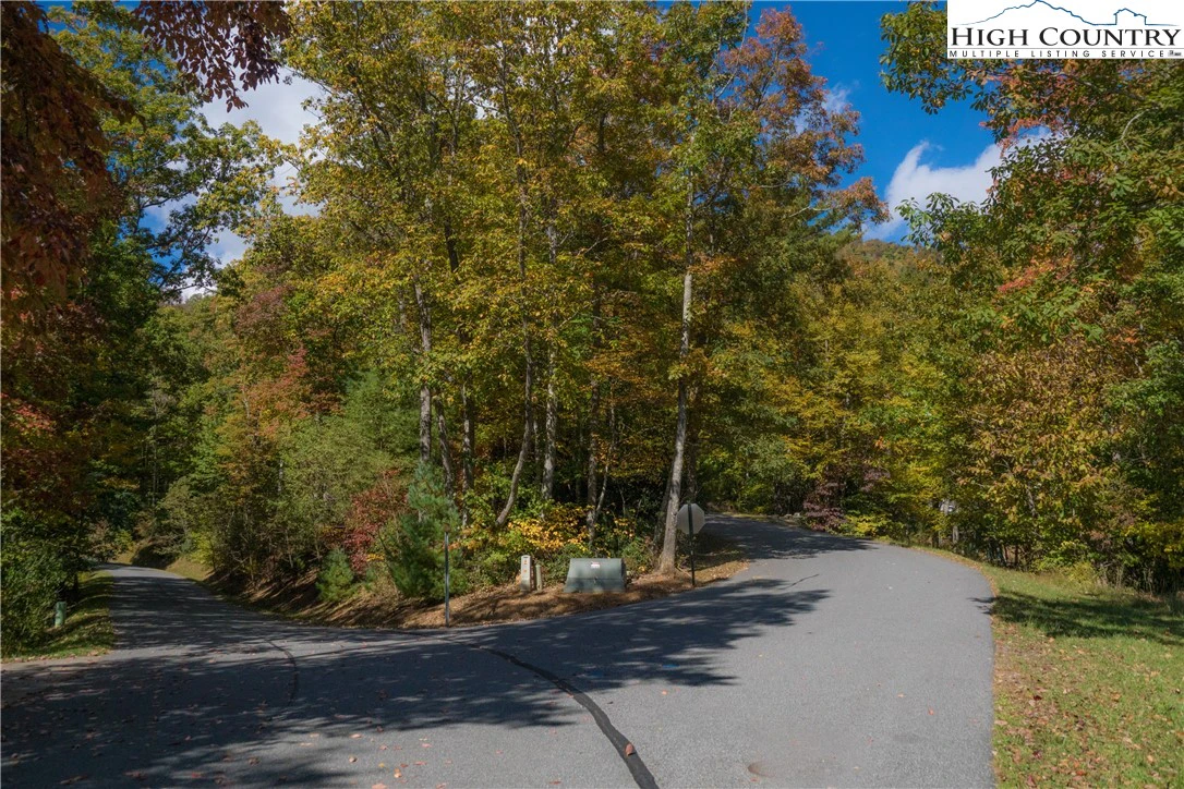 Image number 4 for the current listing