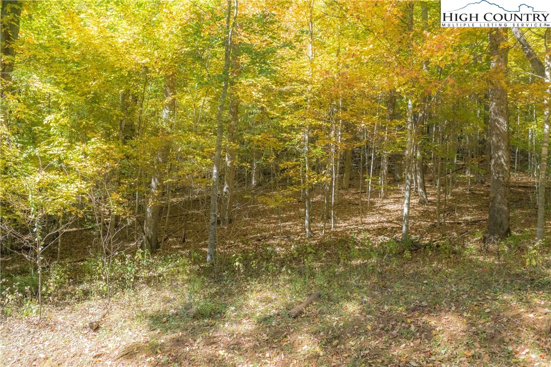 Image number 8 for the current listing