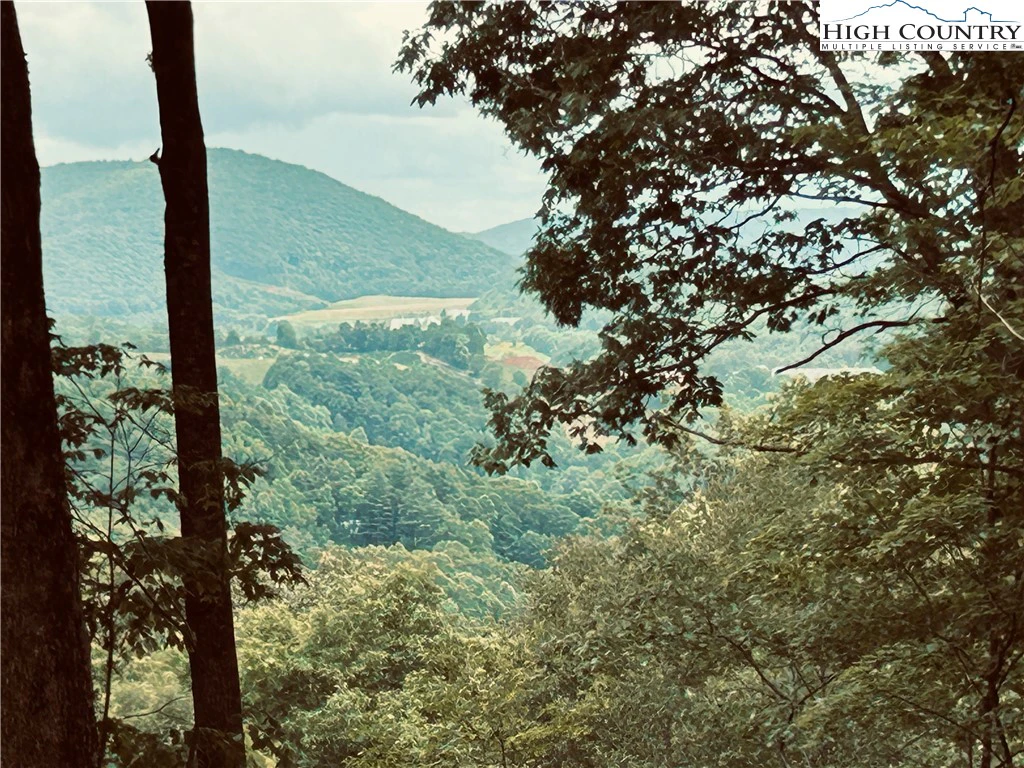 Image number 1 for the current listing