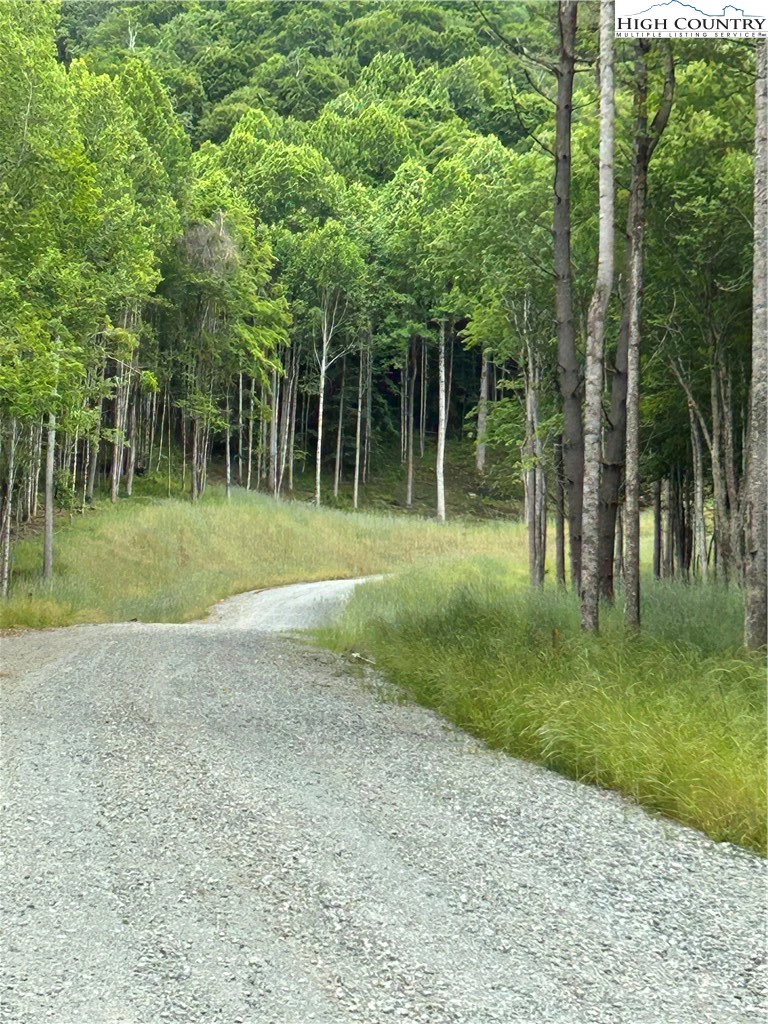 Image number 15 for the current listing
