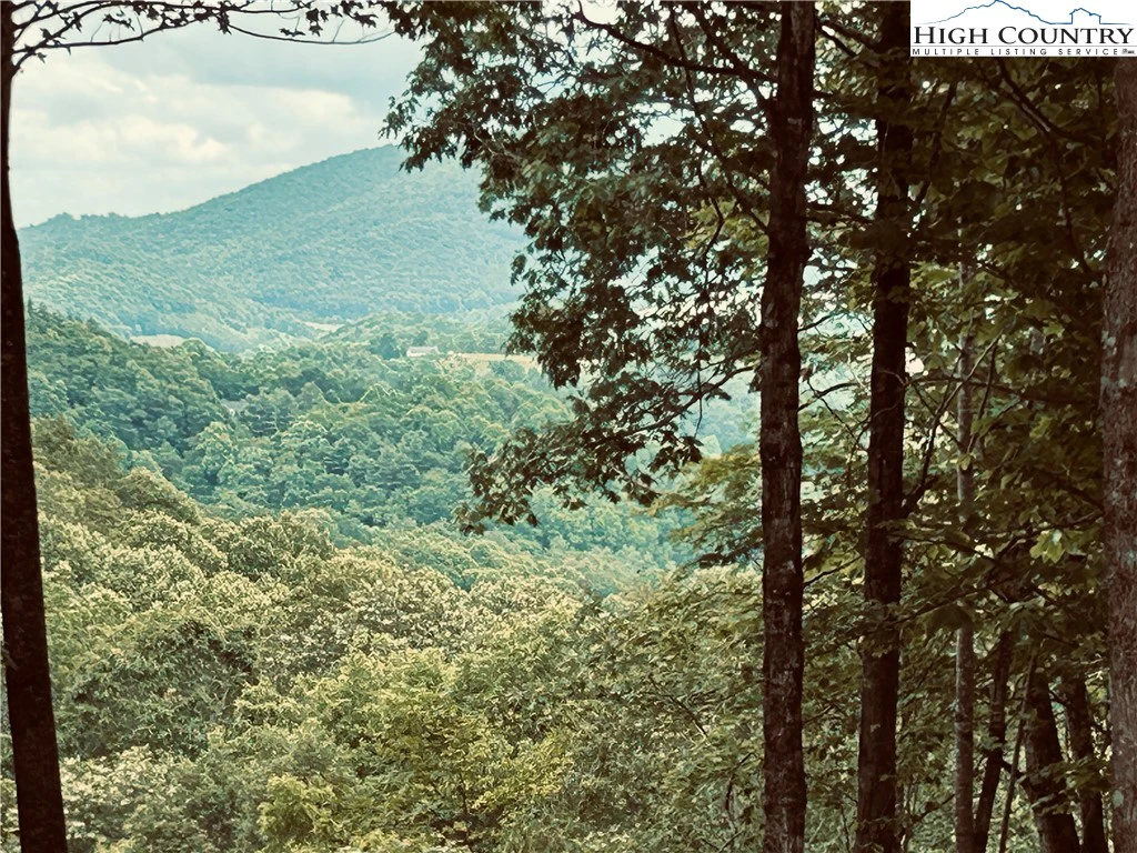 Image number 2 for the current listing