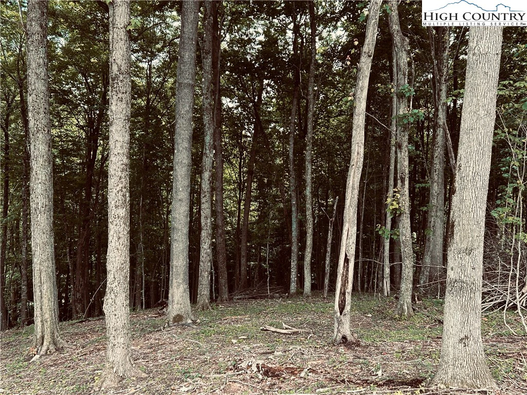 Image number 13 for the current listing