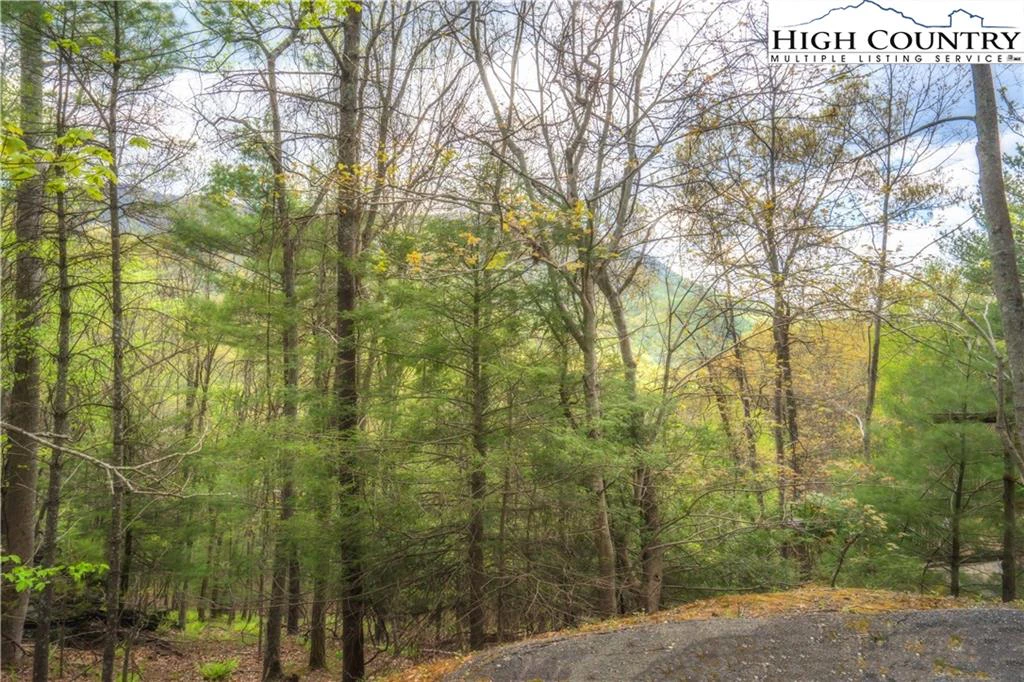 Image number 4 for the current listing