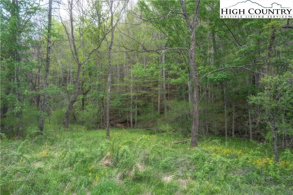 Image number 5 for the current listing