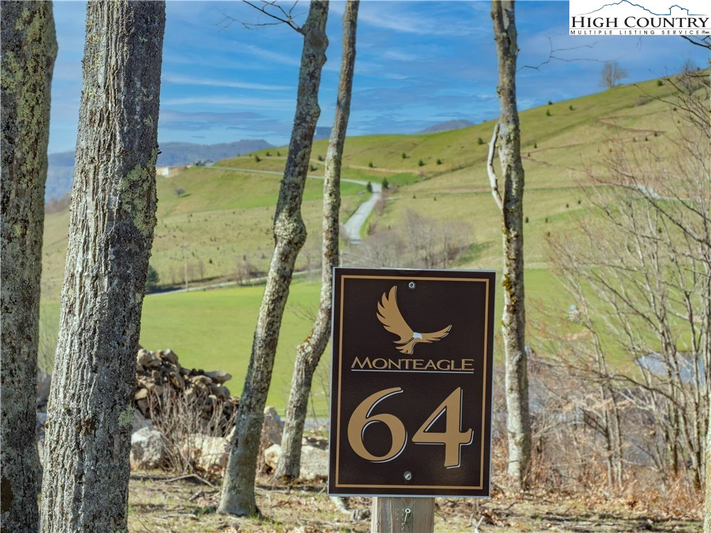 Image number 1 for the current listing