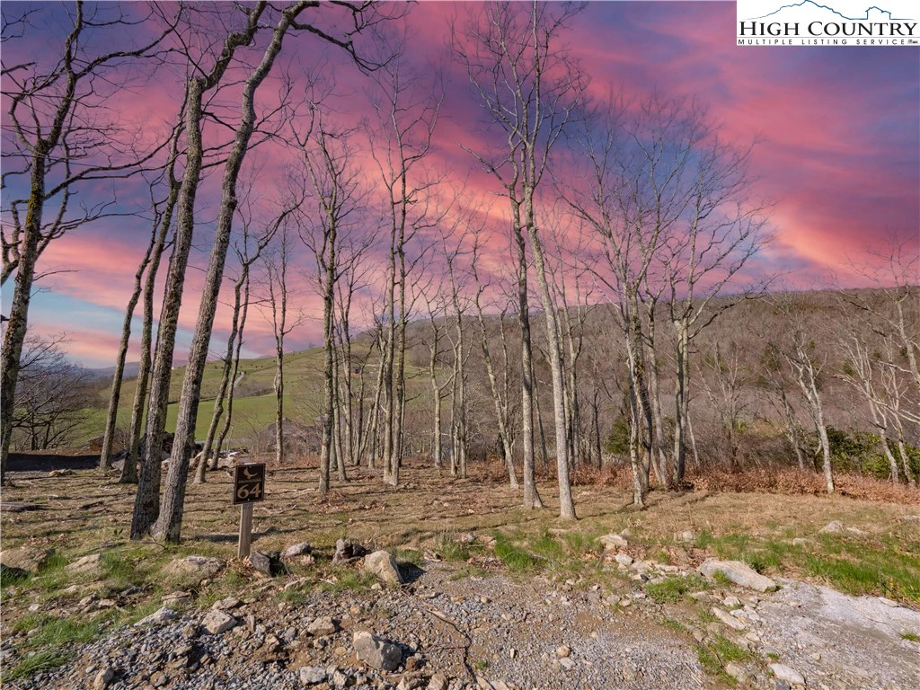 Image number 3 for the current listing