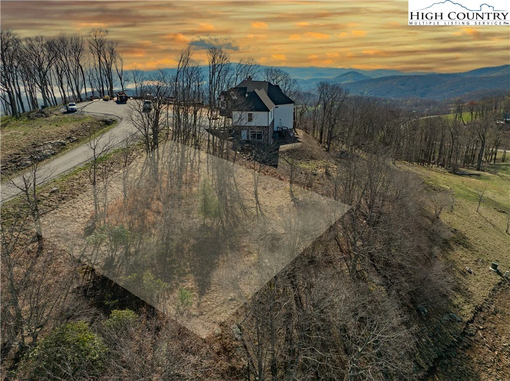 Image number 4 for the current listing