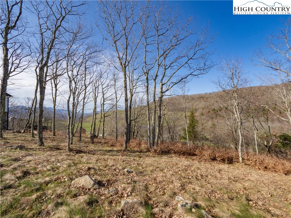 Image number 6 for the current listing