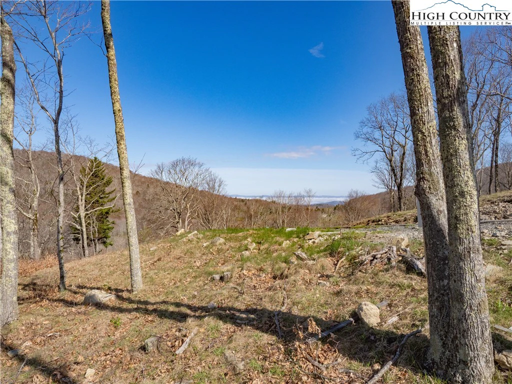Image number 7 for the current listing