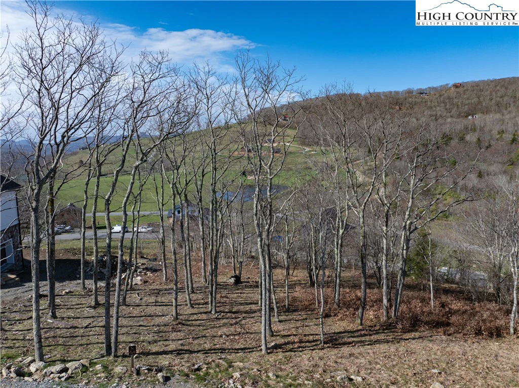 Image number 8 for the current listing