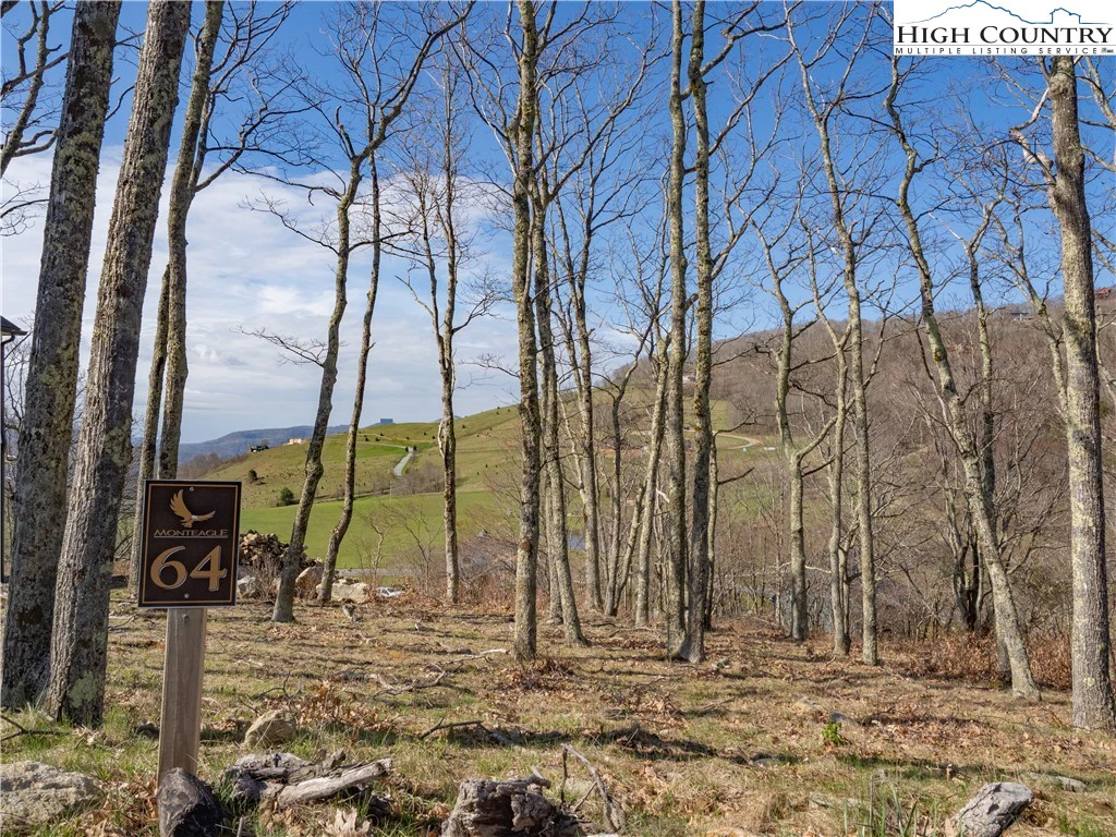 Image number 11 for the current listing