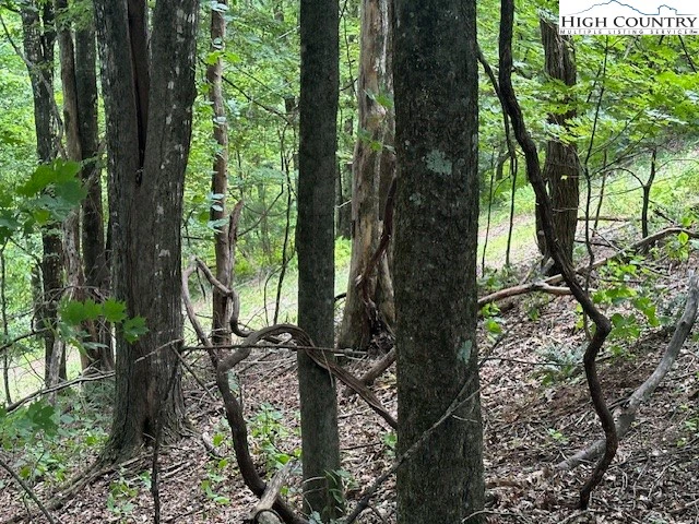 Image number 1 for the current listing