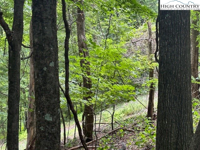 Image number 3 for the current listing