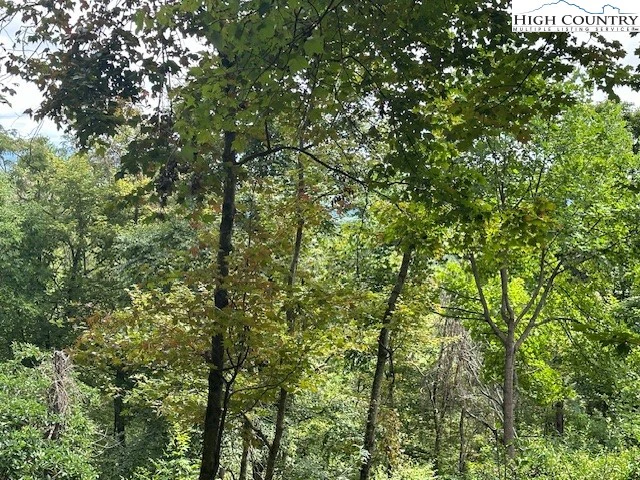 Image number 6 for the current listing
