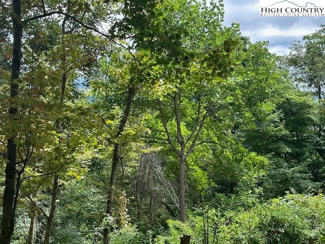 Image number 7 for the current listing