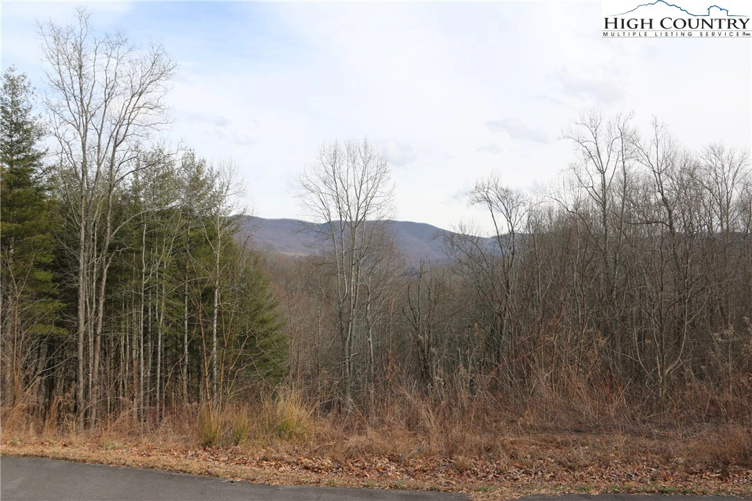 Image number 1 for the current listing