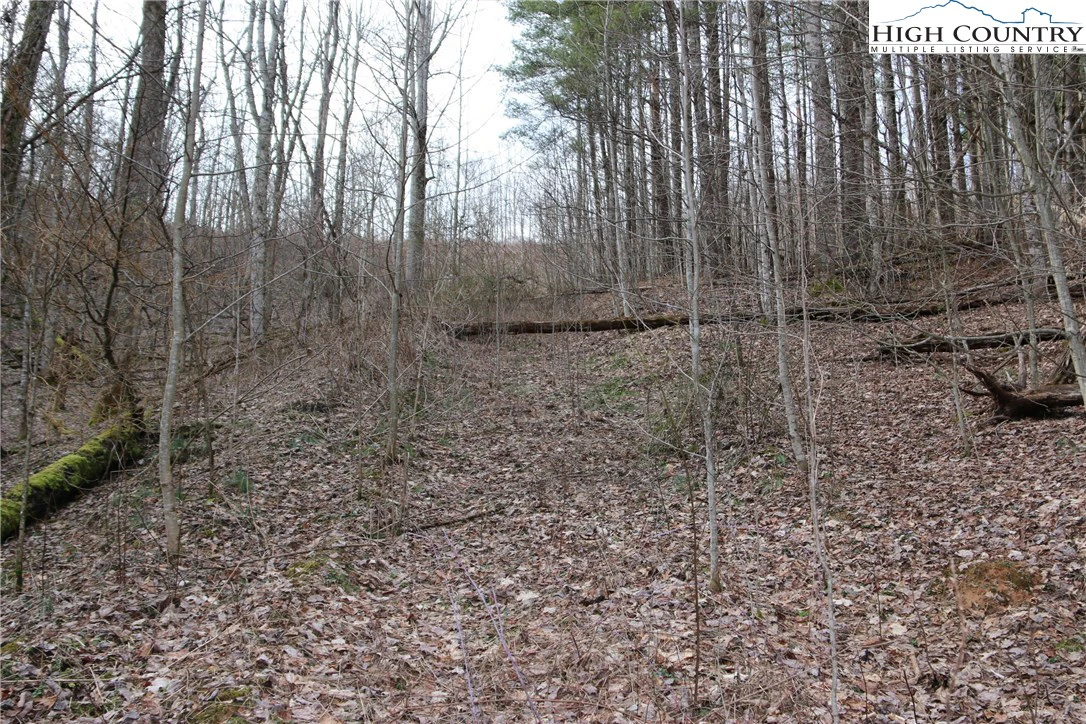Image number 14 for the current listing