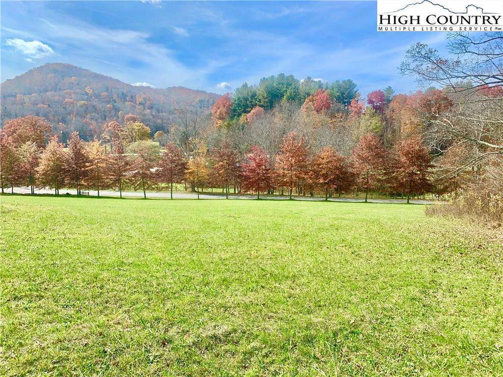 Image number 1 for the current listing