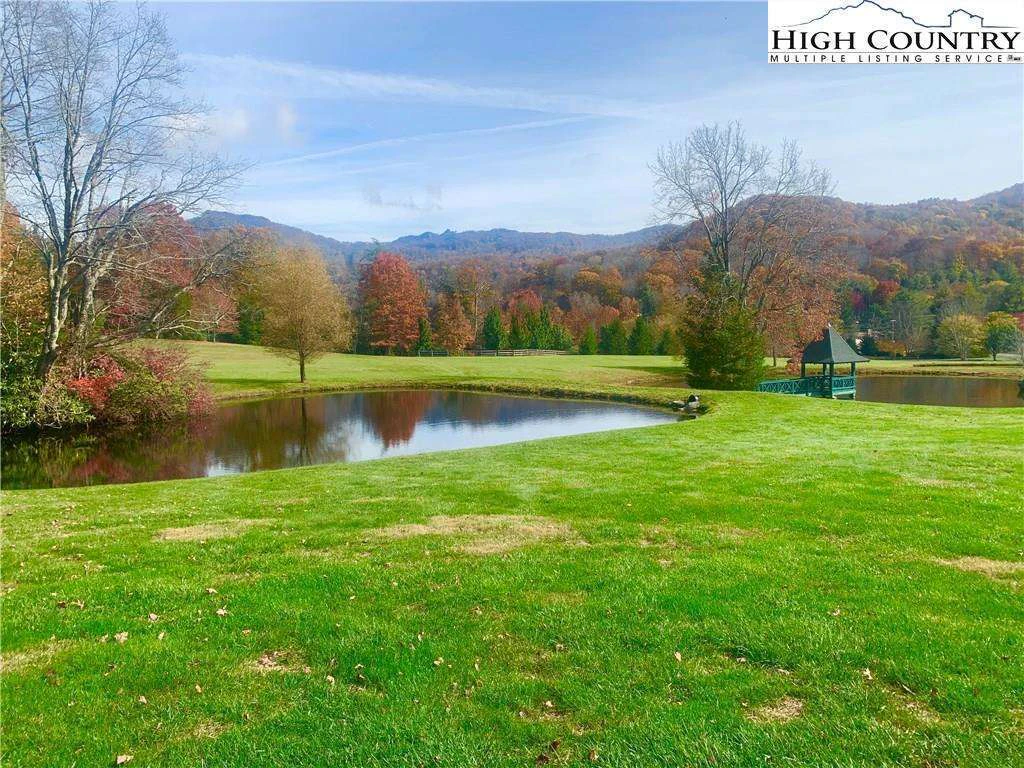 Image number 14 for the current listing