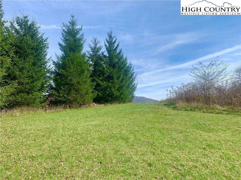Image number 5 for the current listing