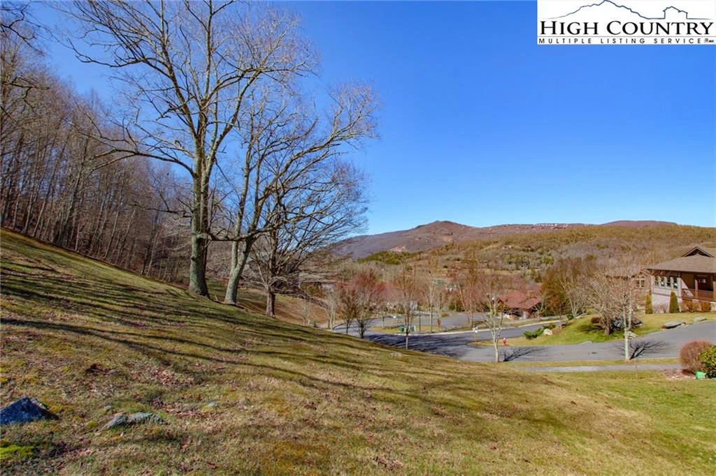 Image number 1 for the current listing