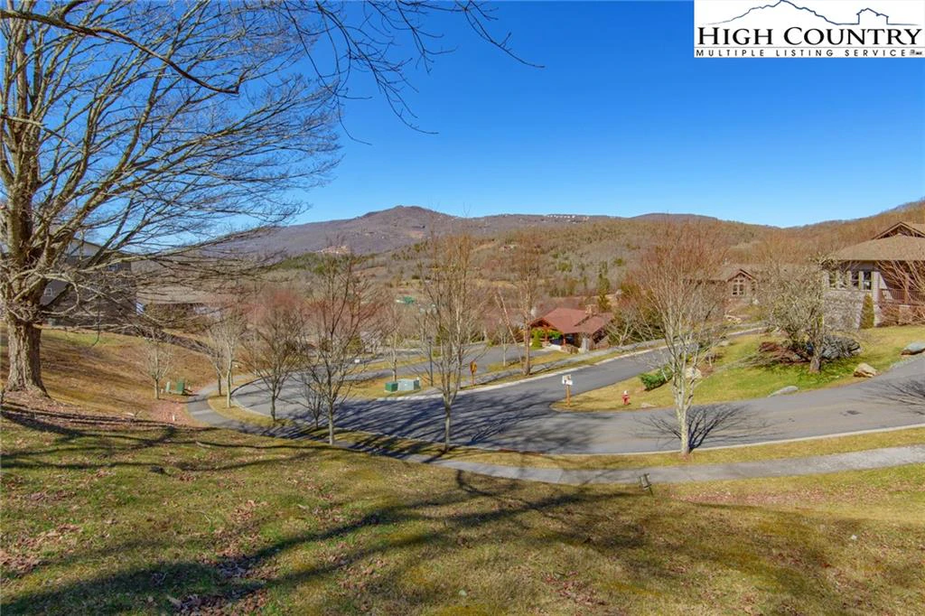 Image number 4 for the current listing
