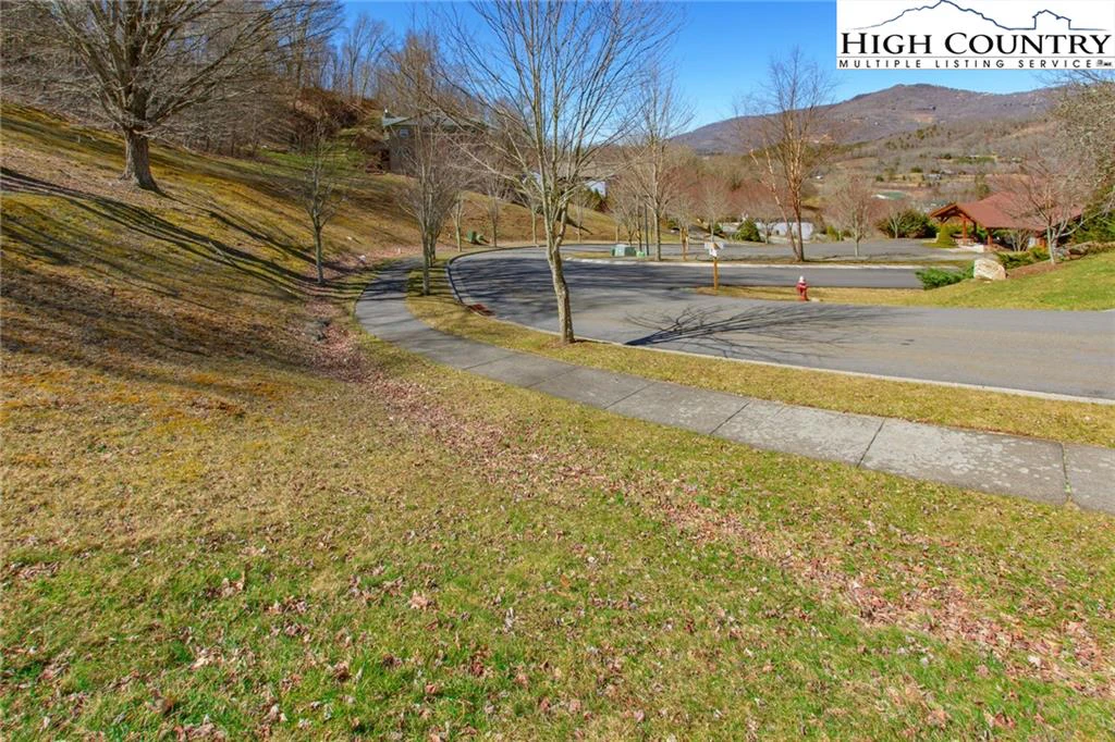 Image number 5 for the current listing