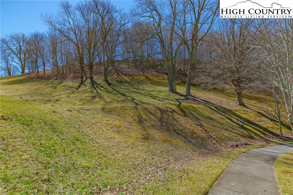 Image number 6 for the current listing