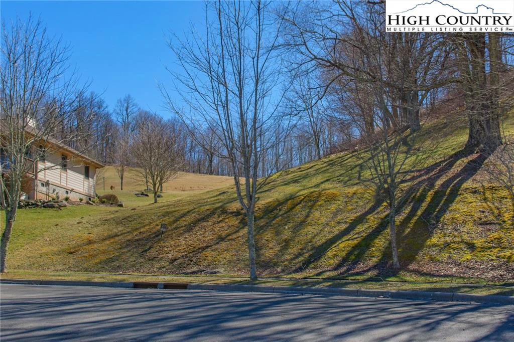 Image number 8 for the current listing