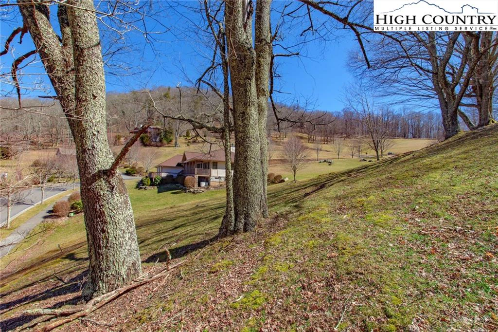 Image number 9 for the current listing