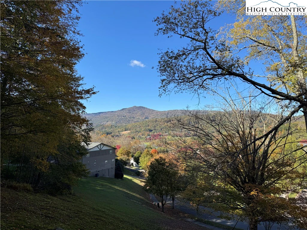Image number 3 for the current listing