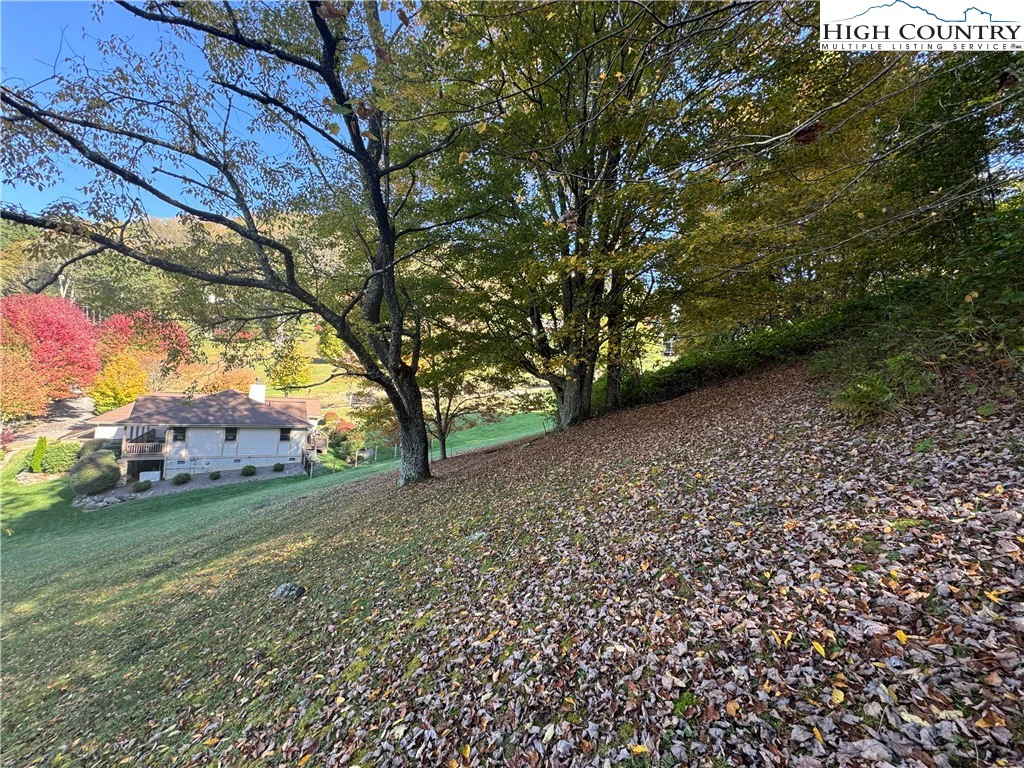 Image number 8 for the current listing