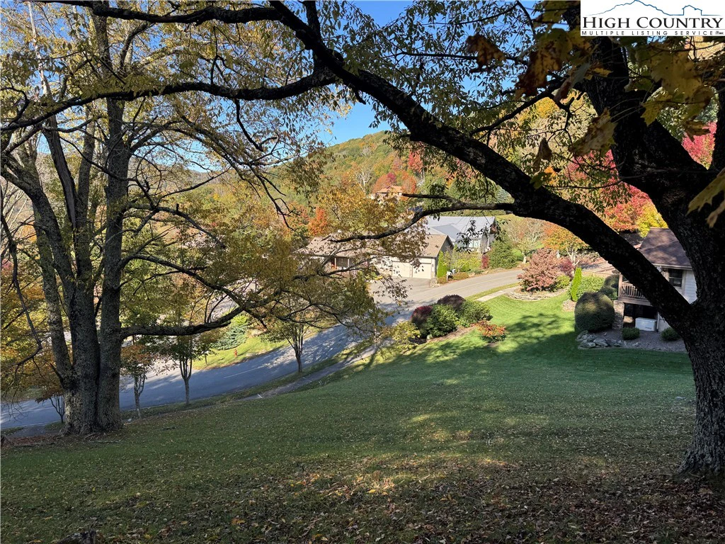 Image number 12 for the current listing