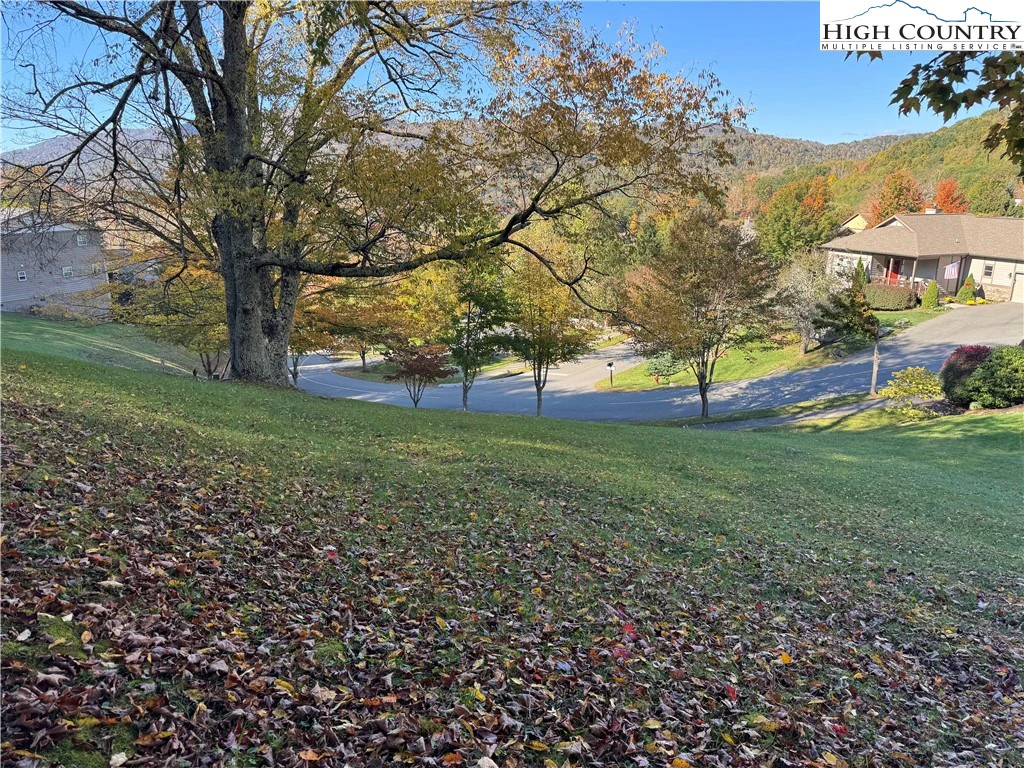 Image number 9 for the current listing
