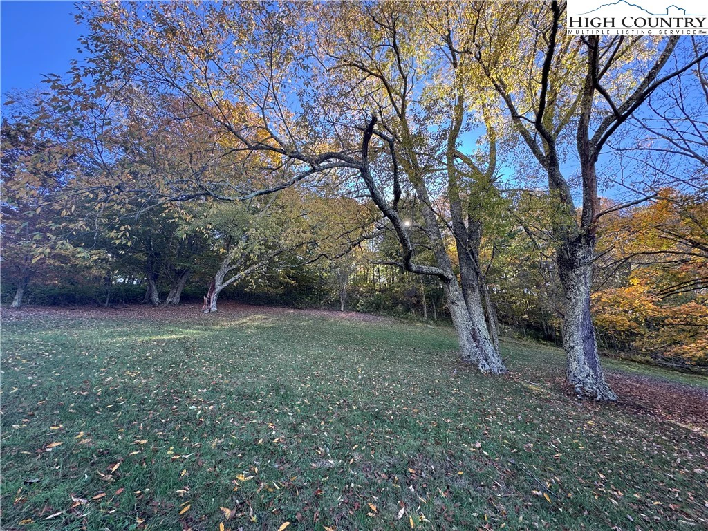 Image number 10 for the current listing