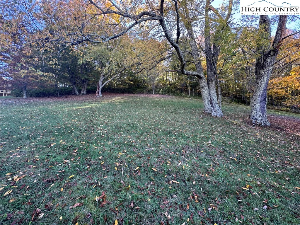 Image number 11 for the current listing