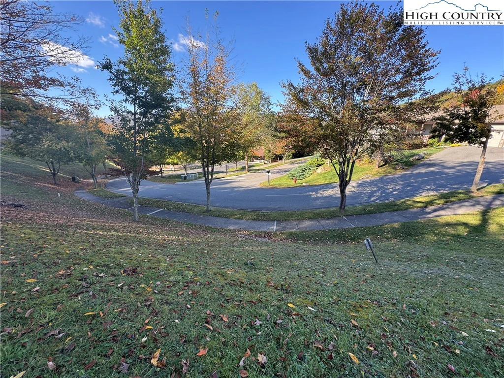 Image number 5 for the current listing